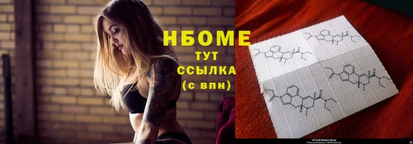 ГАЛЛЮЦИНОГЕННЫЕ ГРИБЫ Верея