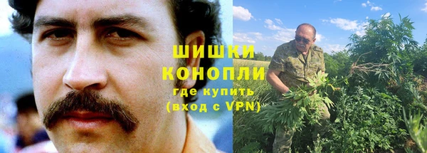 бошки Бронницы