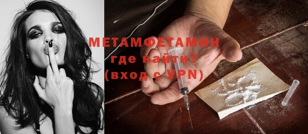 ГАЛЛЮЦИНОГЕННЫЕ ГРИБЫ Верея